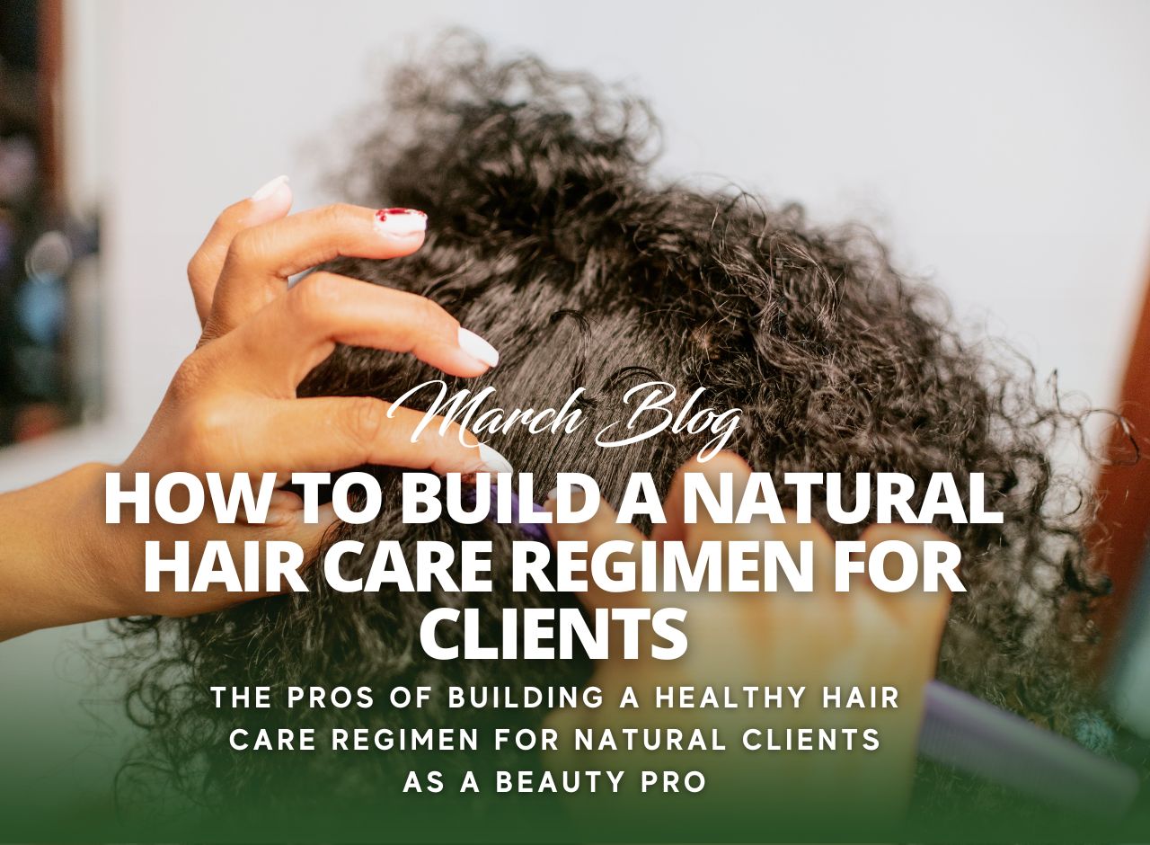 How to build a natural hair care regimen for clients